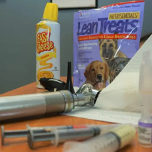 Items For Exam including equipment, Easy Cheese, and Lean Treats.
